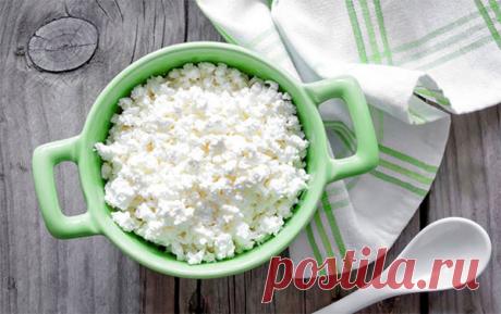 Как сделать домашний творог на пепсине быстро