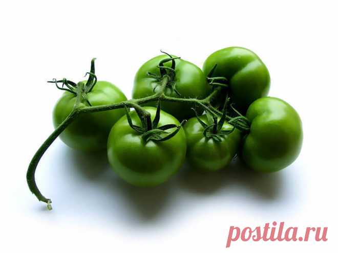 Что приготовить из зелёных помидор? 9 рецептов — Вкусные рецепты