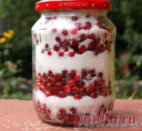 Брусника с сахаром (рецепт с фото) | RUtxt.ru