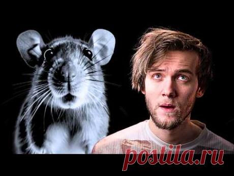 Почему НЕЛЬЗЯ жить хорошо