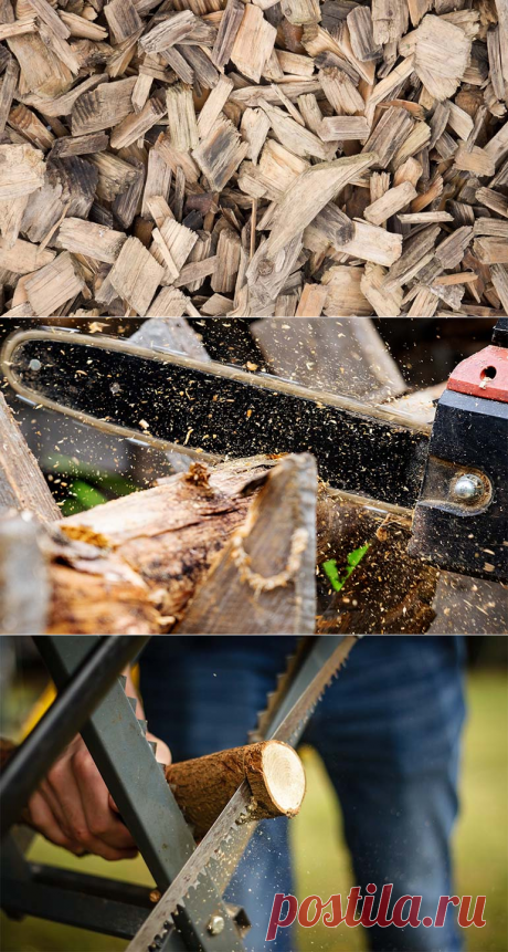 Как использовать на даче опилки чтобы повысить урожайность