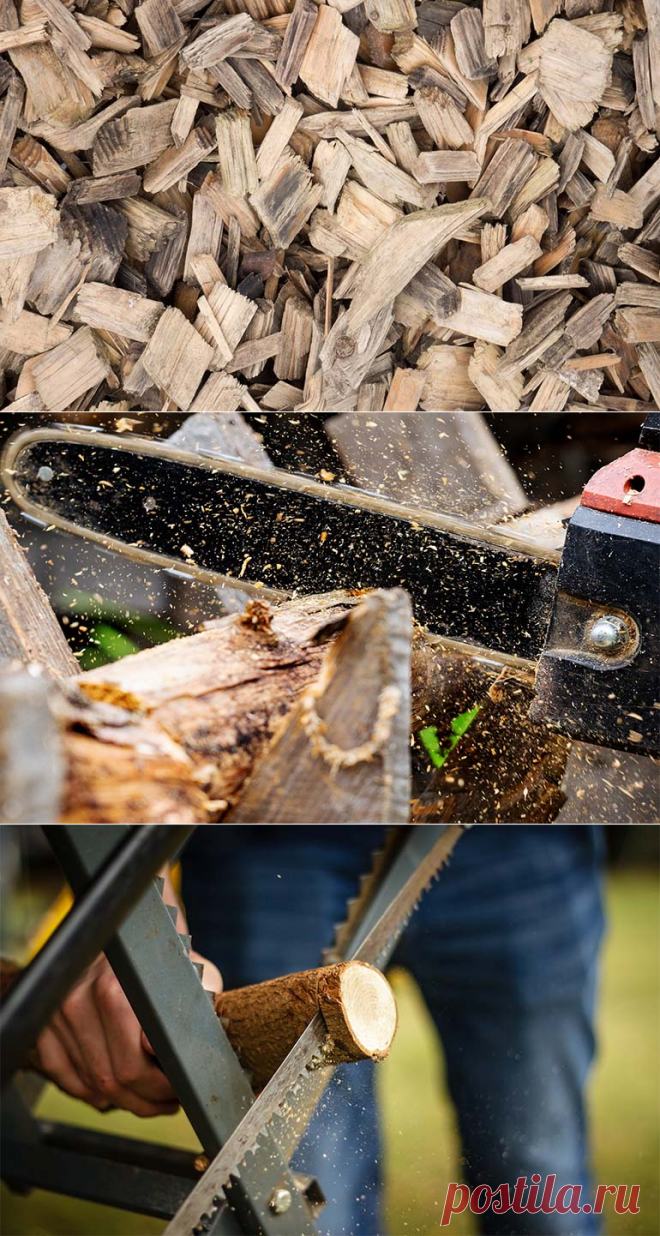 Как использовать на даче опилки чтобы повысить урожайность