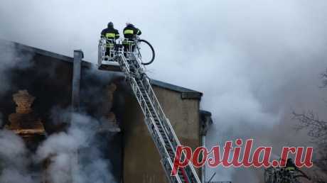 В Южно-Сахалинске вспыхнул приют для безнадзорных животных