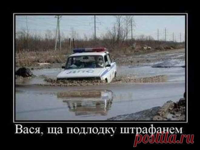 Демотиваторы | KaftanSmeha