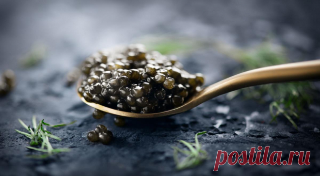 Почти половина черной икры в России оказалась китайской подделкой. Значительная часть черной икры, которую продают под видом российской, оказалась китайским фальсификатом. Президент Союза осетроводов Александр Новиков заявил, что оптовая цена на икру из Китая в 10 ...