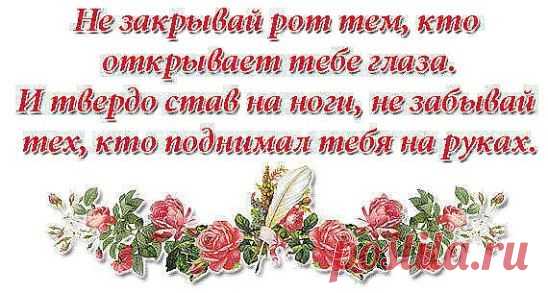 Берегите своих родителей! Они единственные, кто искренне радуются вашим успехам и переживают за ваши неудачи. Будьте с ними чаще, чем это возможно, ведь день, когда их не станет наступит совсем неожиданно…