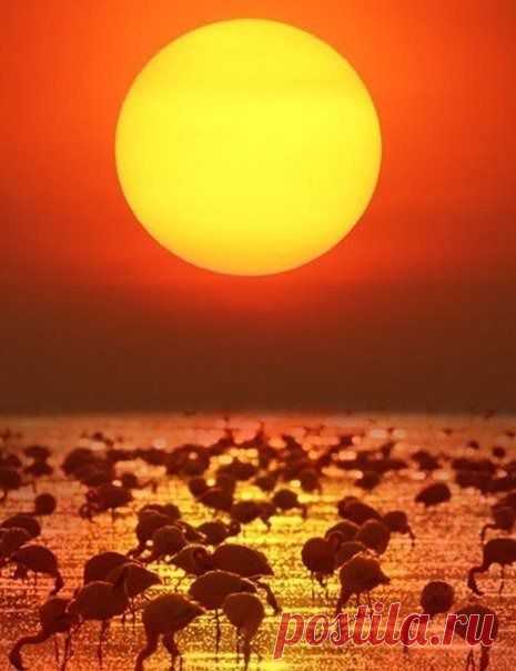 Смотришь на закат и мысли уносят куда то вдаль....