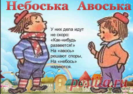 Авоська и небоська — говорила моя бабушка, и вязала их. Я сделала свою сумку из полухлопка (даю описание)
Помните этих героев из «вселенной» Незнайки — жителей Цветочного города — братьев по имени Авоська и Небоська? Скриншот с https://myshared.ru/ Вязала бабуля, конечно, не их, а авоськи. Просто у нее в работе обычно были черные и белые полипропиленовые нитки: самые ходовые у заказчиков цвета....
Читай дальше на сайте. Жми подробнее ➡