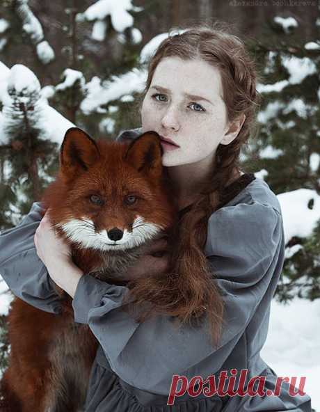 Фотя Витрыло. Среди деревьев

Старенький сельский автобус пыхтел, подскакивая на колдобинах пыльной грунтовой дороги. Девочка сидела у окна, взгляд её был прикован к мимо скользящей обочине, заросшей дикими цветами и травами. Цикорий подмигивал ей синими глазками, ромашки хвастались белыми веночками, красный клевер стыдливо склонял головки от дуновения ветра. О, сколько их там было – на обочине, этих таинственных незнакомцев, живущих в своем параллельном растительном мире.