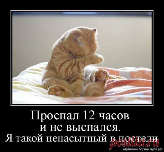 Gallery.ru / Фото #13 - О наболевшем. Про недосып :) - Inari