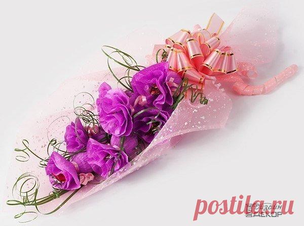 Дизайн & Декор