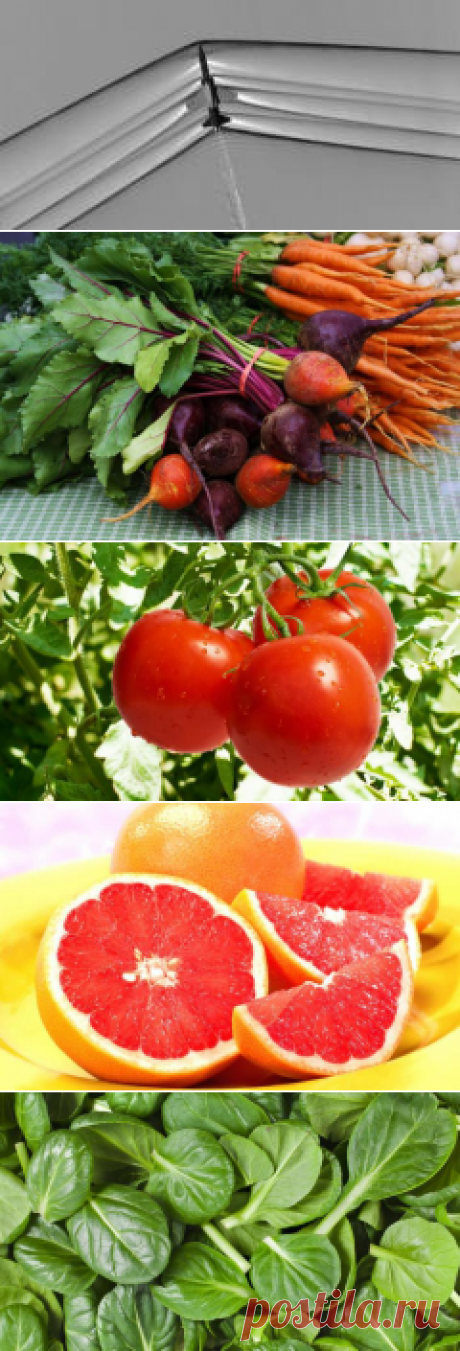 19 продуктов, которые естественным образом очищают вашу печень