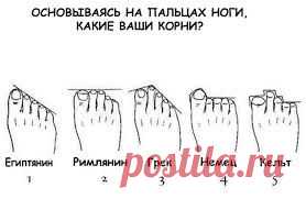 Узнай, кто ты по происхождению, основываясь на строение пальцев ног!