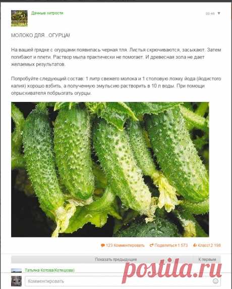 Одноклассники