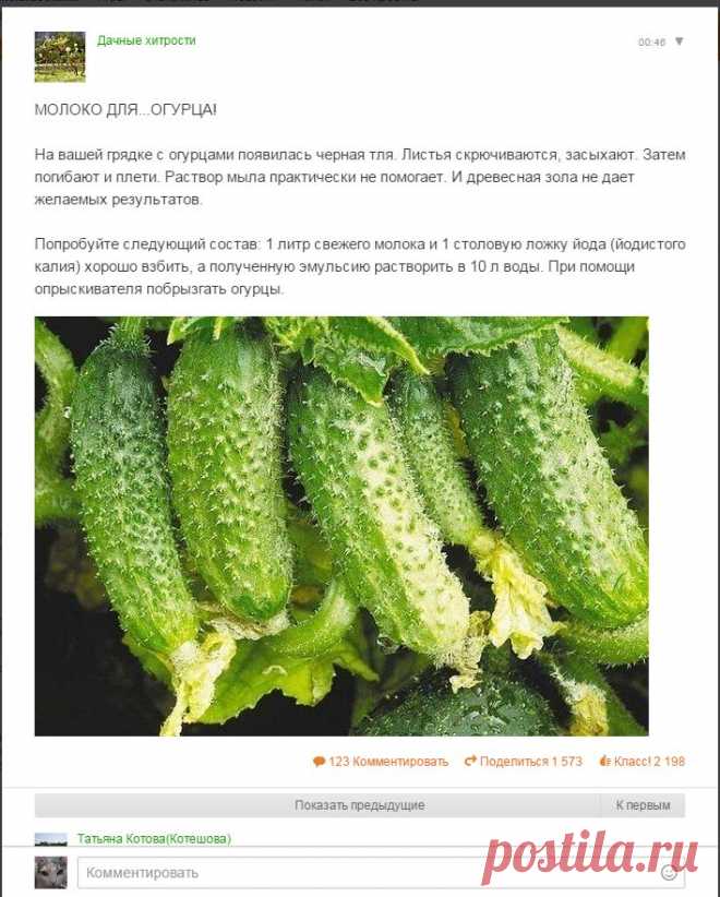 Одноклассники