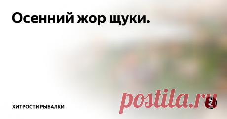 Осенний жор щуки.  Не имея ни малейшего представления о биологических циклах в жизни щуки, проще всего утверждать, что в такие-то и такие-то периоды она не берет. Отсутствие знаний, как правило, компенсируется великим множеством небылиц, своего рода рыбацким фольклором, который интересен сам по себе, но к практике ловли не имеет никакого отношения. Попробуем разобраться с поведением пятнистой хищницы в осенний перио