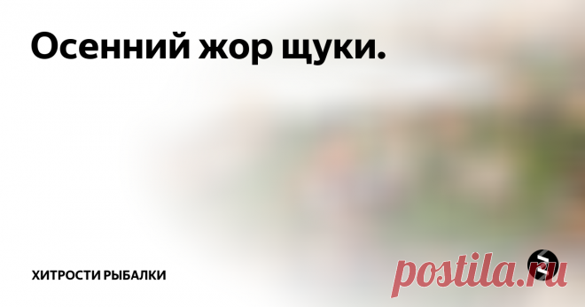 Осенний жор щуки.  Не имея ни малейшего представления о биологических циклах в жизни щуки, проще всего утверждать, что в такие-то и такие-то периоды она не берет. Отсутствие знаний, как правило, компенсируется великим множеством небылиц, своего рода рыбацким фольклором, который интересен сам по себе, но к практике ловли не имеет никакого отношения. Попробуем разобраться с поведением пятнистой хищницы в осенний перио