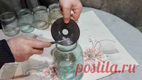 сад и декор своими руками | Зачем Платить Больше? Этим Способом Вы сможете Размножить много Туй и Можжевельников хватит на два участка.