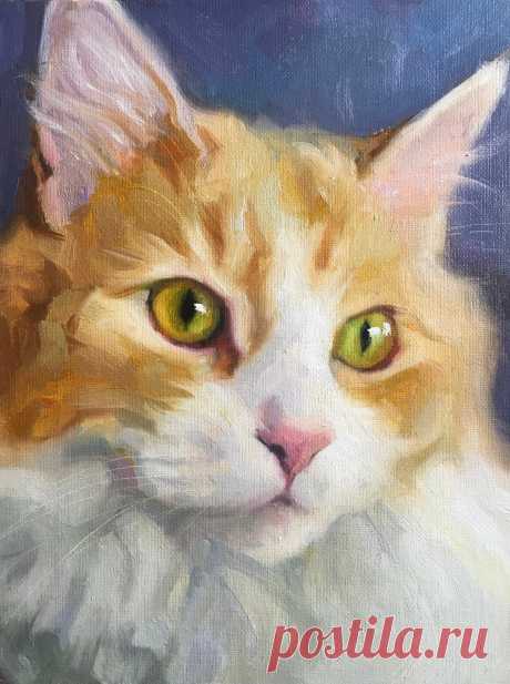 (19) Facebook