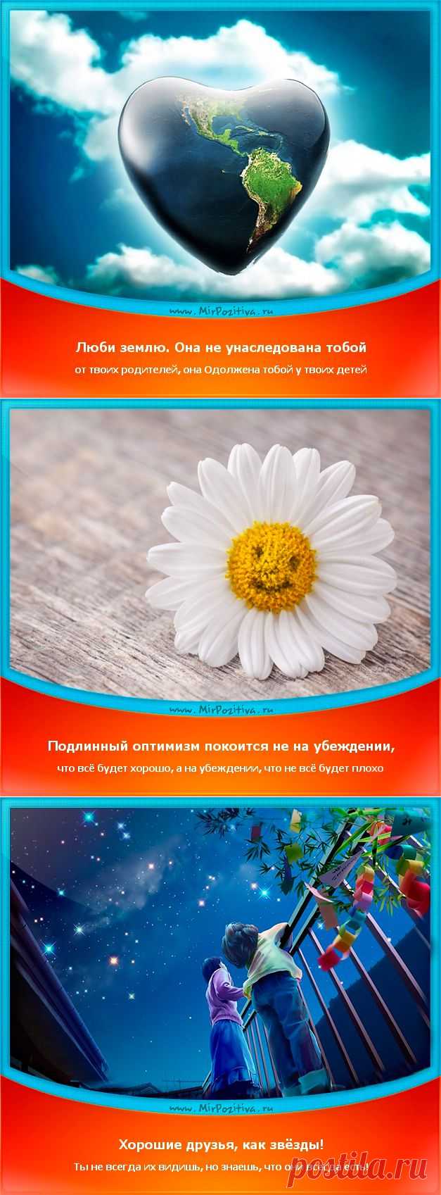 Позитивчики Недели (смотреть фото)