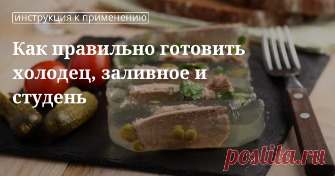 Как правильно готовить холодец, заливное и студень: идеи и секреты Как правильно готовить холодец, заливное и студень: секреты приготовления