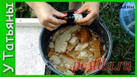 2 непрочитанных чата