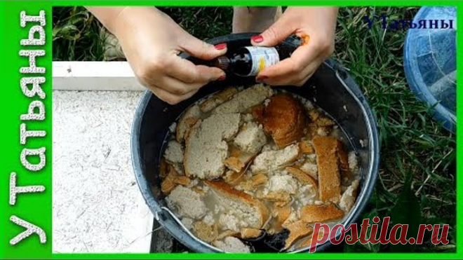 2 непрочитанных чата