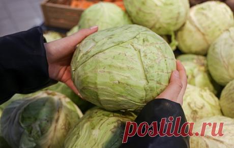 В России в 2025 году подешевели все овощи "борщевого набора". Это произошло благодаря хорошему урожаю и усилиям производителей по сдерживанию цен, указал зампред правления ассоциации "Руспродсоюз" Дмитрий Леонов