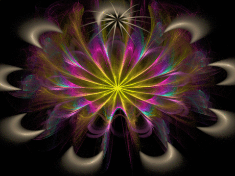 11627337.gif (800×600)