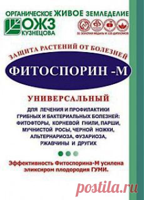 Фитоспорин и фитодоктор: растения скажут спасибо!