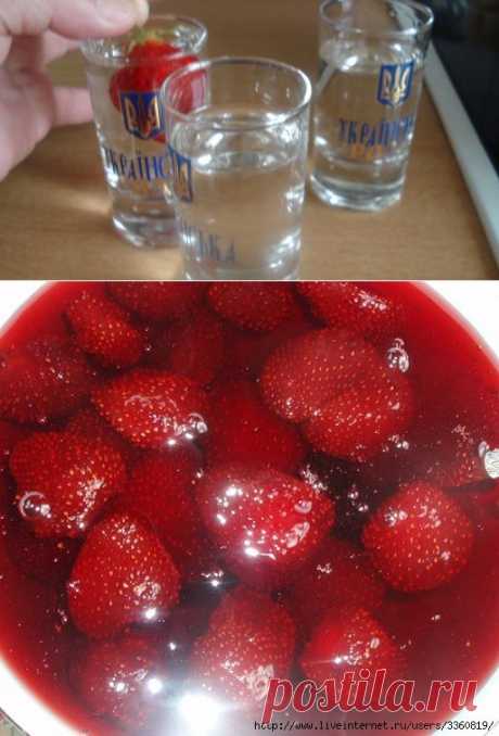 Клубника по -Русски