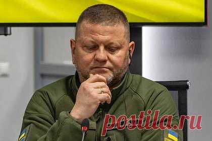 Командующий силами НАТО не смог связаться с Залужным в критический момент. Командующий объединенными силами НАТО в Европе и Европейским командованием Вооруженных сил США Кристофер Каволи не смог связаться с главкомом Вооруженных сил Украины (ВСУ) Валерием Залужным во время критической фазы контрнаступления. Сообщается, что Каволи не мог поговорить с Залужным в течение части лета.