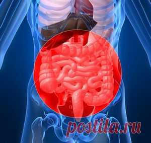 Причины метеоризма и его лечение лекарственными травами | FEMIANA