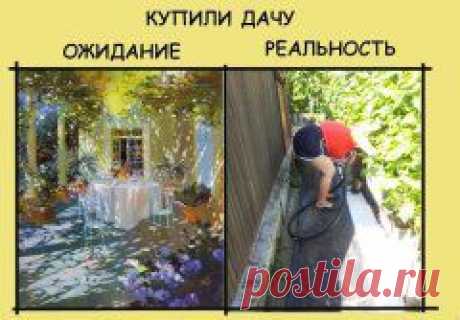 Ожидание и реальность)))