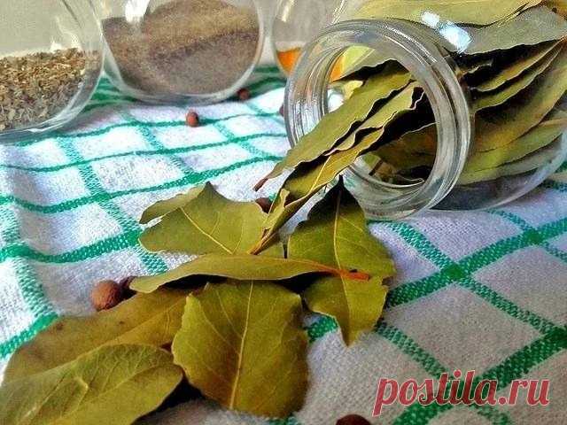 Народное средство для улучшения кровообращения в ногах.