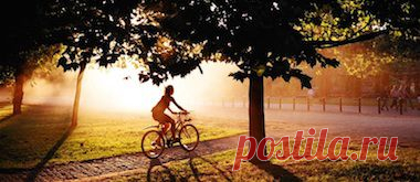 Поиск по картинкам - Поиск@Mail.Ru