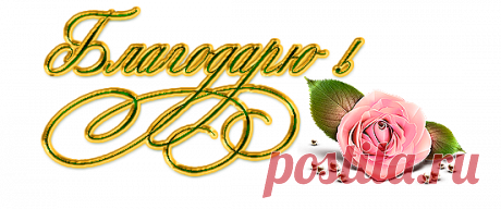 Минутное печенье «Моя прелесть»