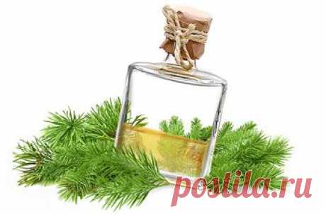 Делаем настойки