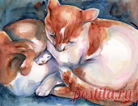Cat watercolor two yellow and white cats by Maria Reichert Cat watercolor two yellow and white cats Painting by Maria Reichert