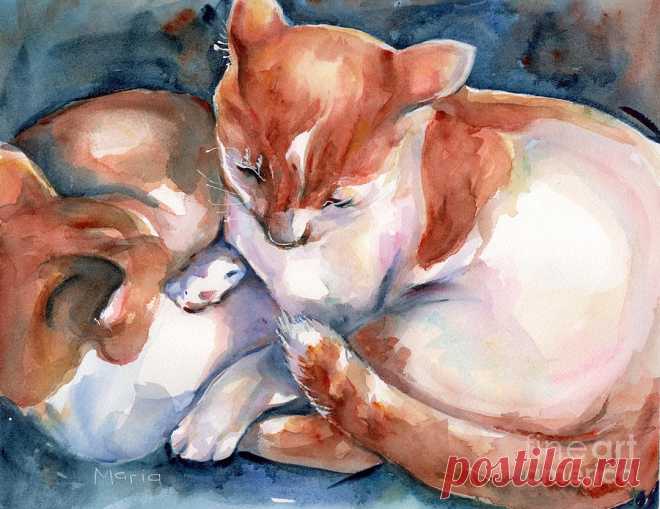 Cat watercolor two yellow and white cats by Maria Reichert Cat watercolor two yellow and white cats Painting by Maria Reichert