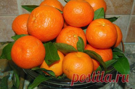 Мандарины и камни в почках