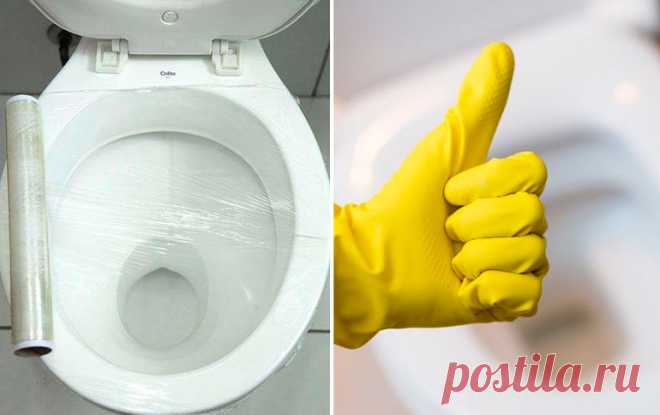 9 секретов, которыми с вами не поделятся сантехники, - зато это сделаем мы, чтобы вы могли повторить их самостоятельно (и бесплатно)