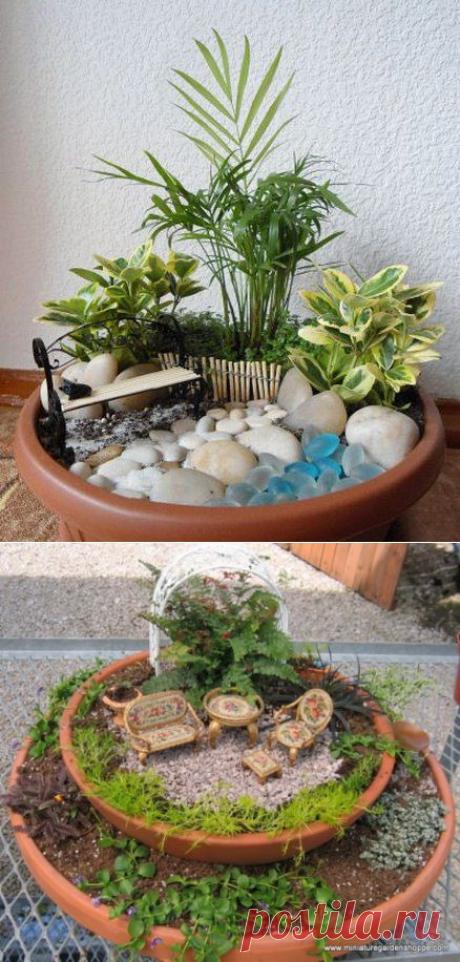 Миниатюрный сад | Умелые ручки