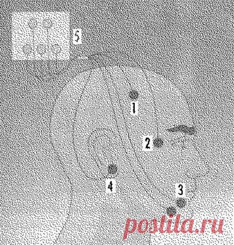 Сон и сновидения