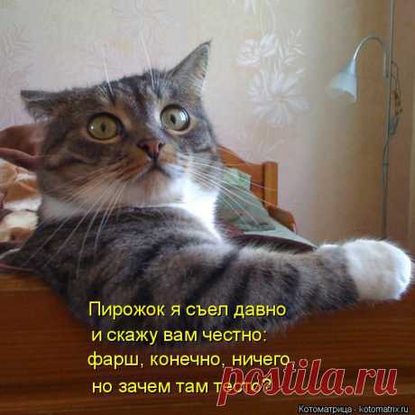 kotomatritsa_3b.jpg (Изображение JPEG, 750 × 750 пикселов) - Масштабированное (92%)