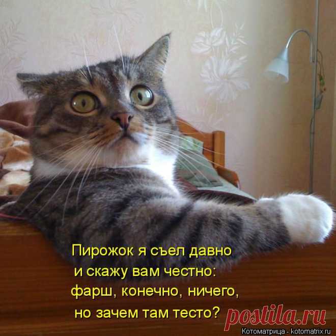 kotomatritsa_3b.jpg (Изображение JPEG, 750 × 750 пикселов) - Масштабированное (92%)