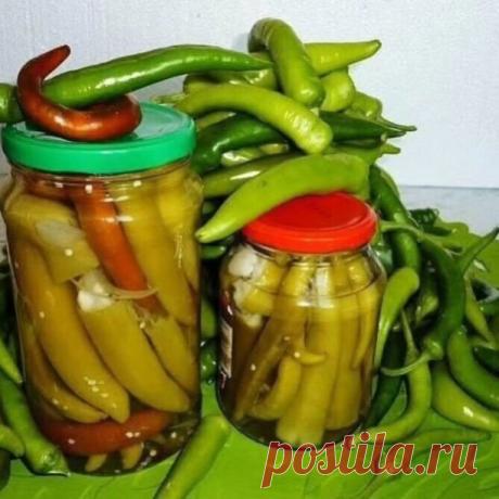 ГОРЬКИЙ ПЕРЕЦ " МИРОВОЙ ЗАКУСОН! 

Очистить горький перец от плодоножки и семян, промыть его под проточной водой, нашпиговать его репчатым луком ( порезать вдоль полосками), залить маринадом.