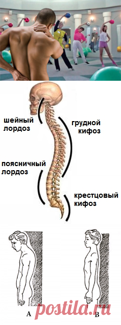 Почему нет желаемого эффекта от ЛФК?
Все говорят о том, что необходимо укреплять мышцы спины, чтобы не было грыж, протрузий, болей. Предлагают очень много разных видов упражнений для позвоночника и обещают, что именно эти упражнения сделают Вас здоровыми. Но к сожалению, чудо не происходит. Давайте разберем, почему так происходит.
Причины неэффективности ЛФК:
1. Упражнения подобраны не индивидуально под Вас (под те изгибы которые у Вас сформировались)...