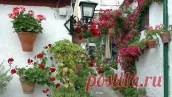 patios cordobeses interiores bonitos - Buscar con Google