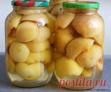 Маринованные вкусные яблоки на зиму